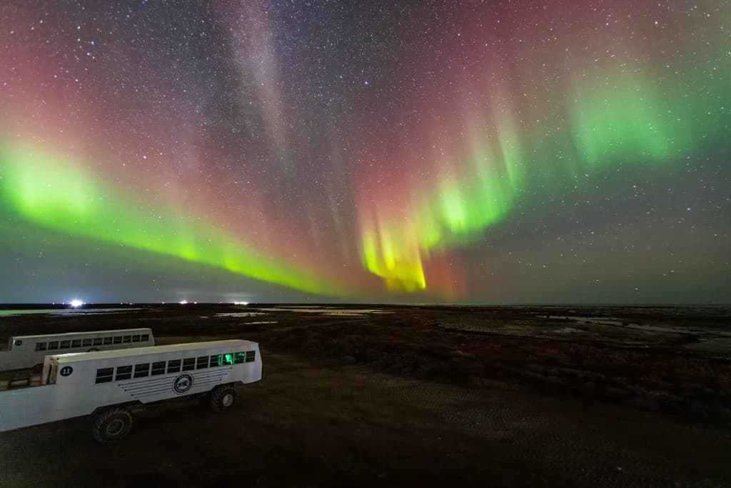Aurora Dreams: A Colorful Dance of Light in the Night Sky
