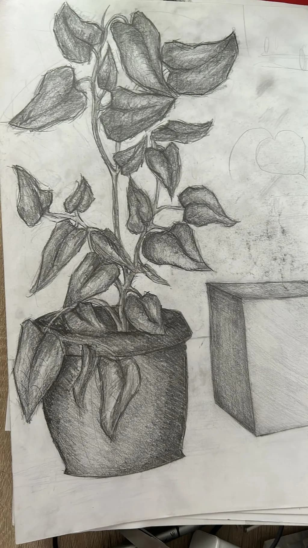 Whispers of Nature: A Charcoal Study of a Potted Plant and Its Surroundings
