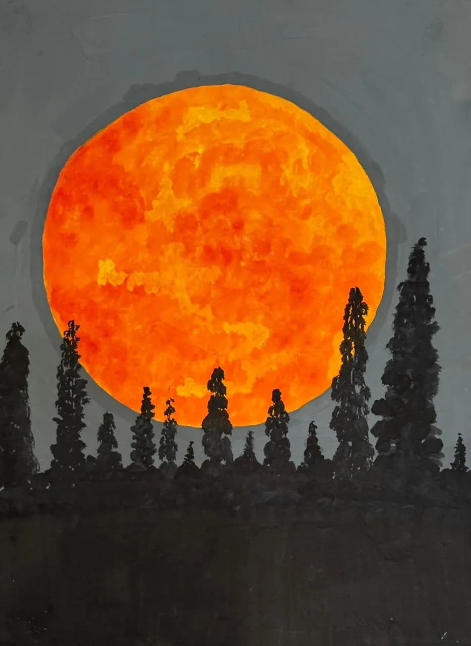Radiant Sunset: A Fiery Orb Among the Pines