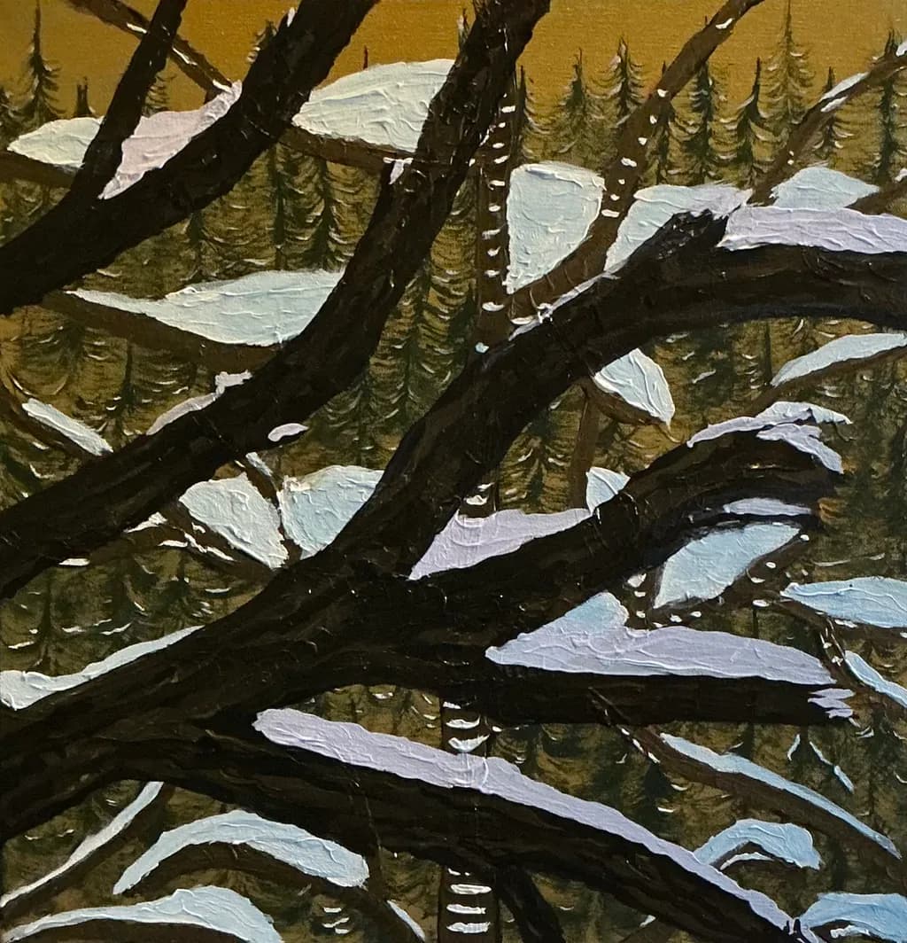 Whispers of Winter: A Serene Landscape Through Snow-Laden Branches