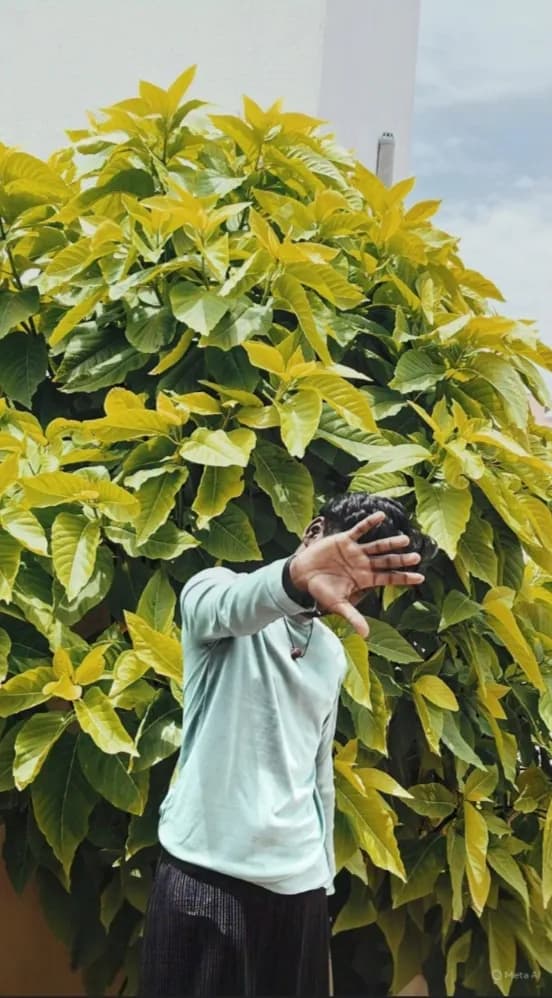 Urban Serenity: A Gesture of Green Amidst Nature's Embrace