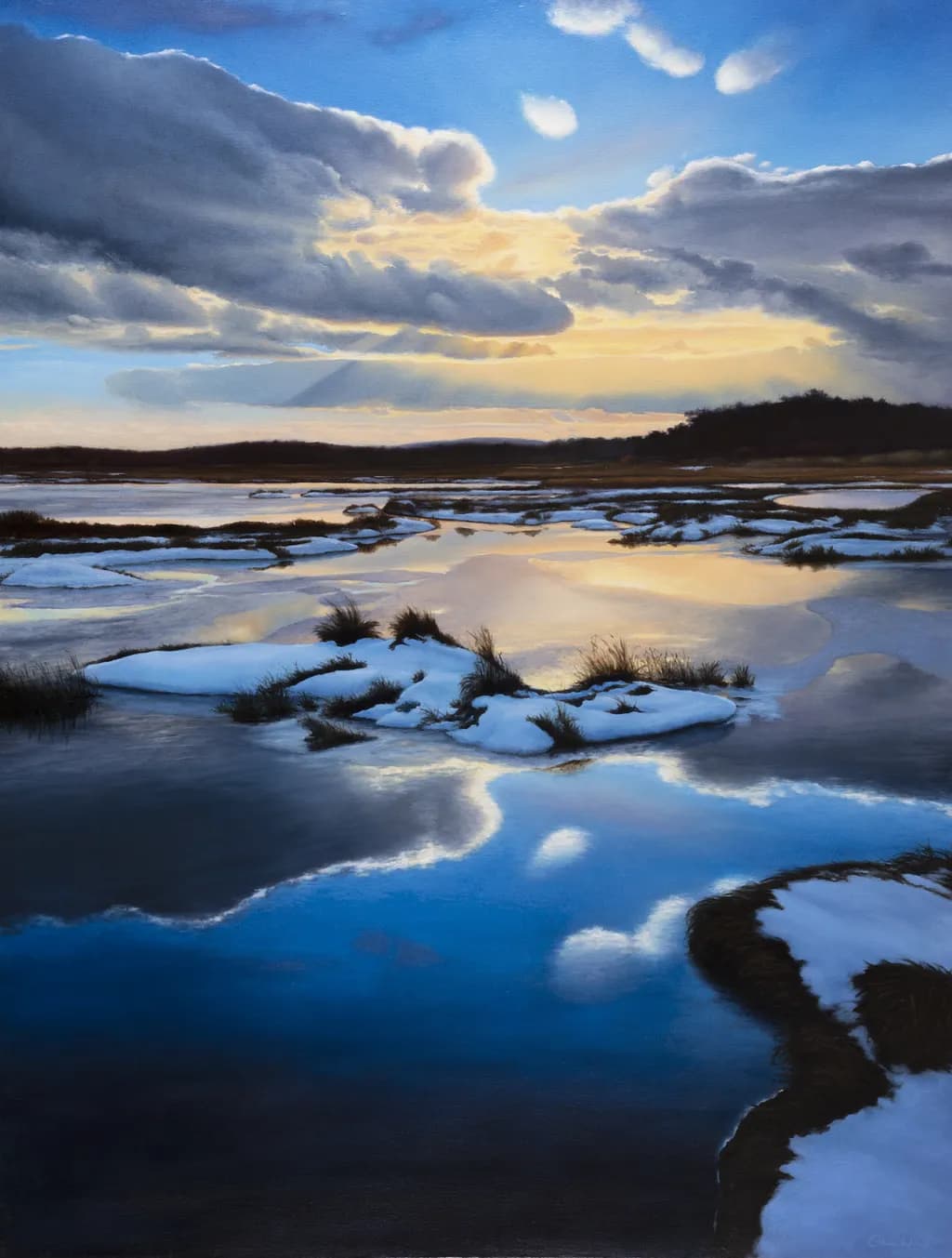 Whispers of Winter: A Tranquil Marsh at Dusk