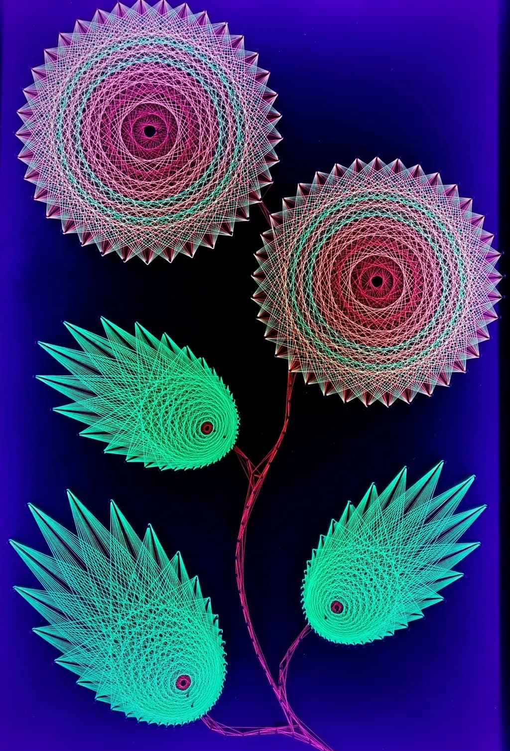 Night Flowers