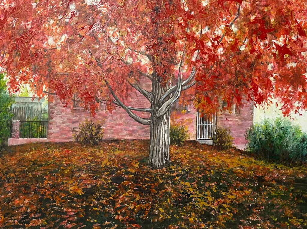 Red Maple