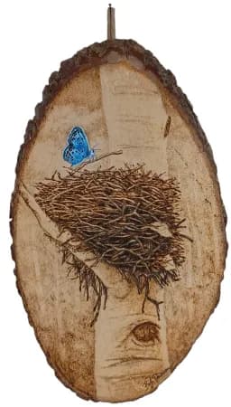 Butterfly at the Nest