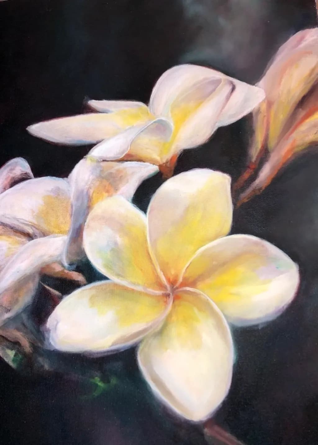 Plumeria Bloom