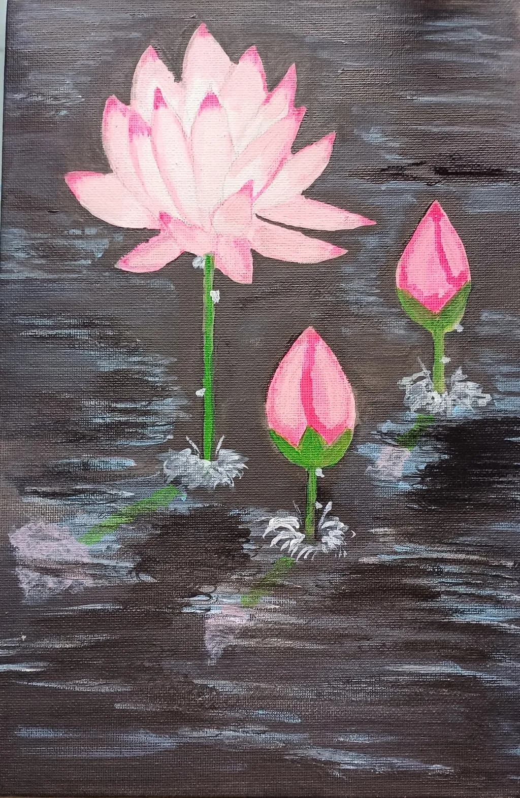 Lotus Bloom