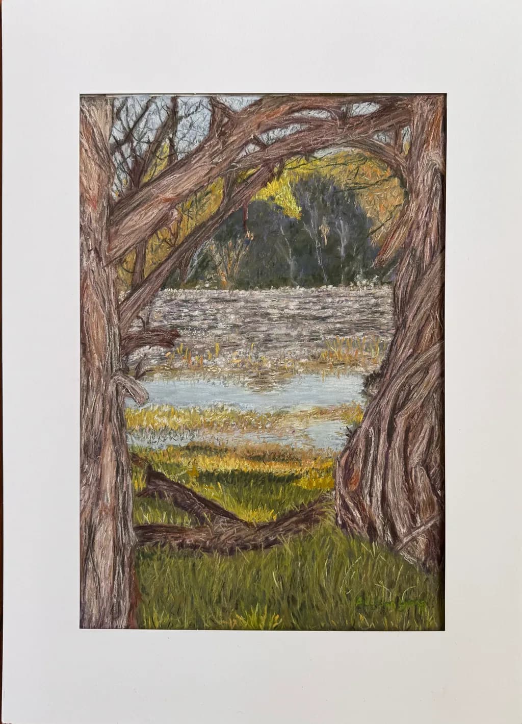 Whispers of Nature: A Serene Landscape Framed by Ancient Trees
