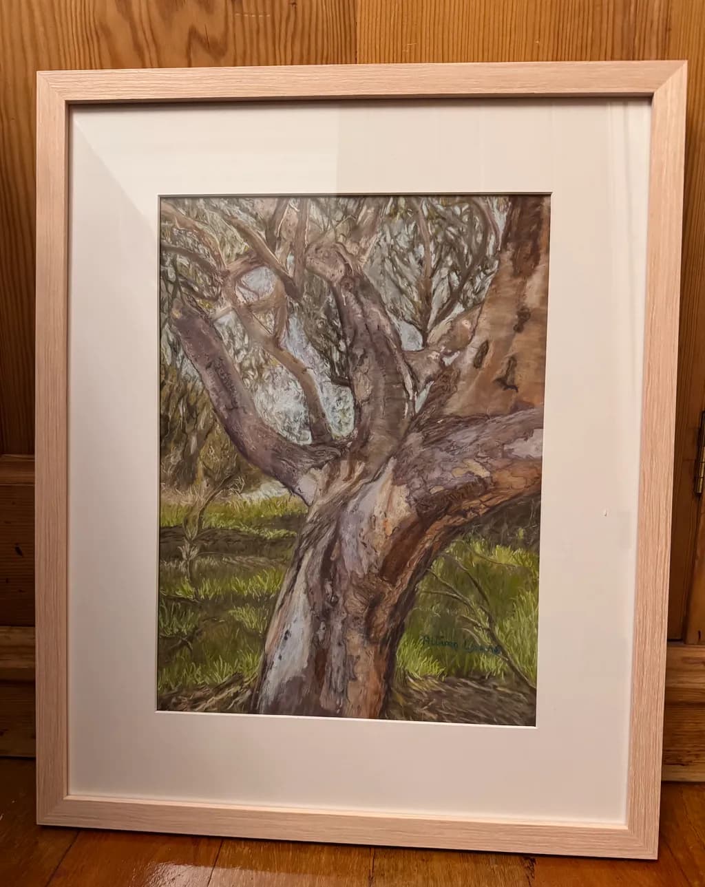 Whispers of Nature: The Majestic Embrace of an Ancient Tree