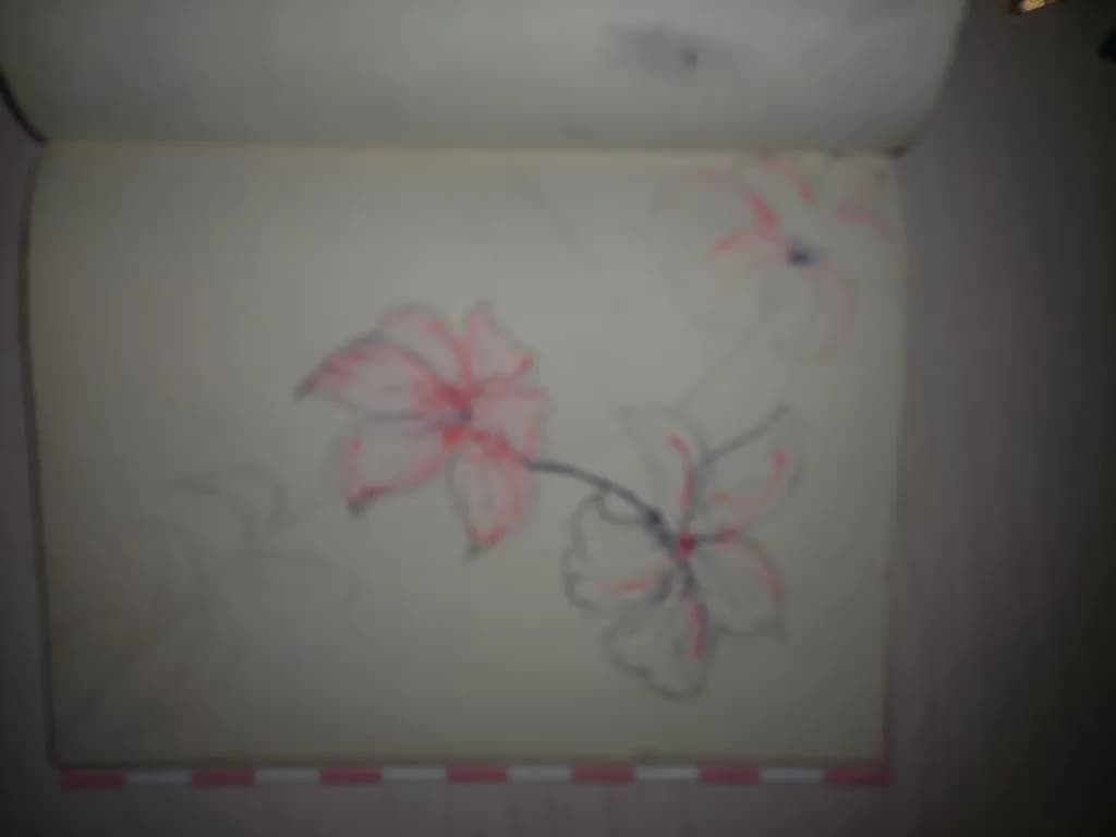 Delicate Blossoms: A Colorful Sketch of Nature's Beauty