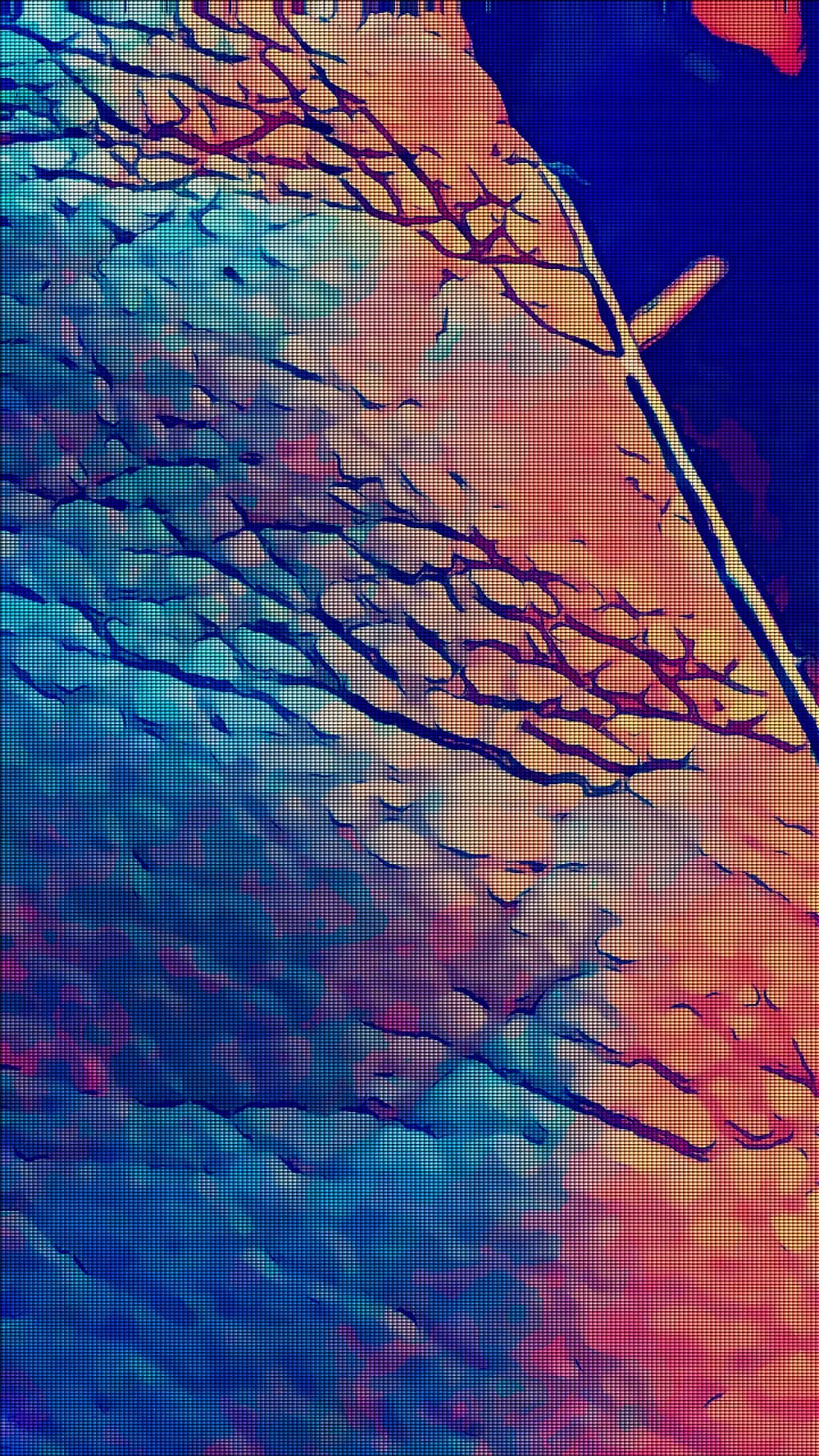 Textured Patterns