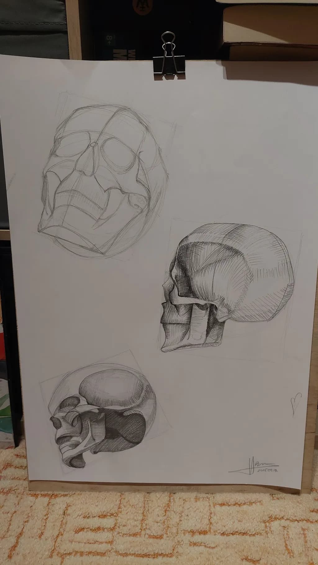 Anatomical Elegance: A Study of Skull Forms in Sketch Art