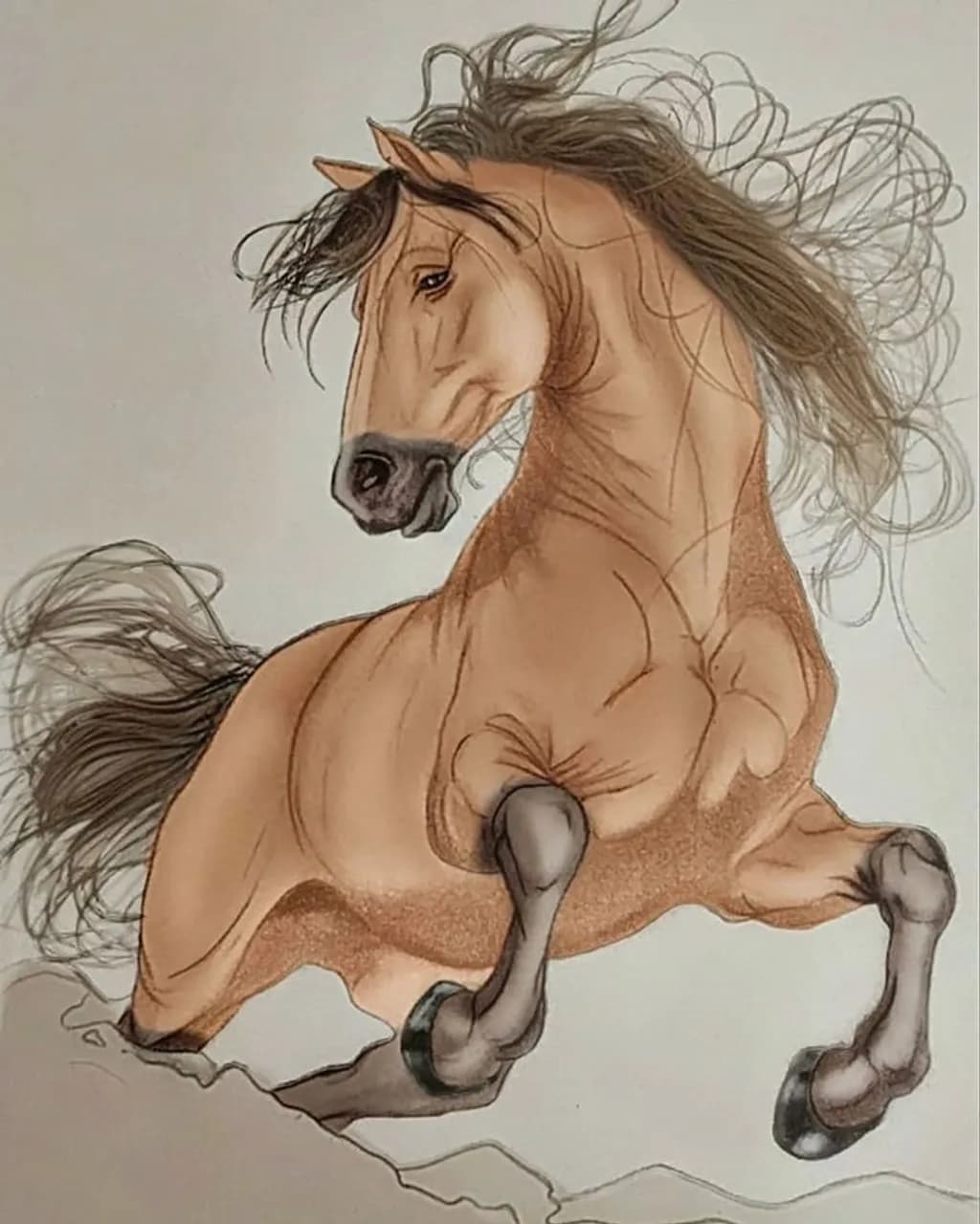 Majestic Gallop