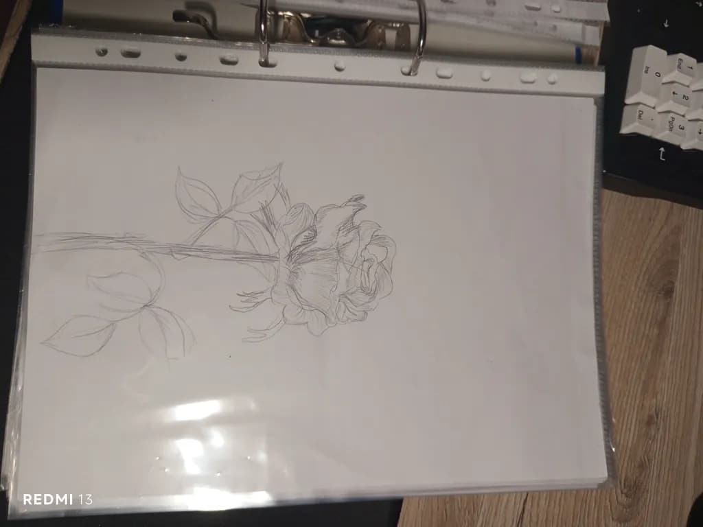 Whispers of Elegance: A Delicate Rose Sketch in Pencil