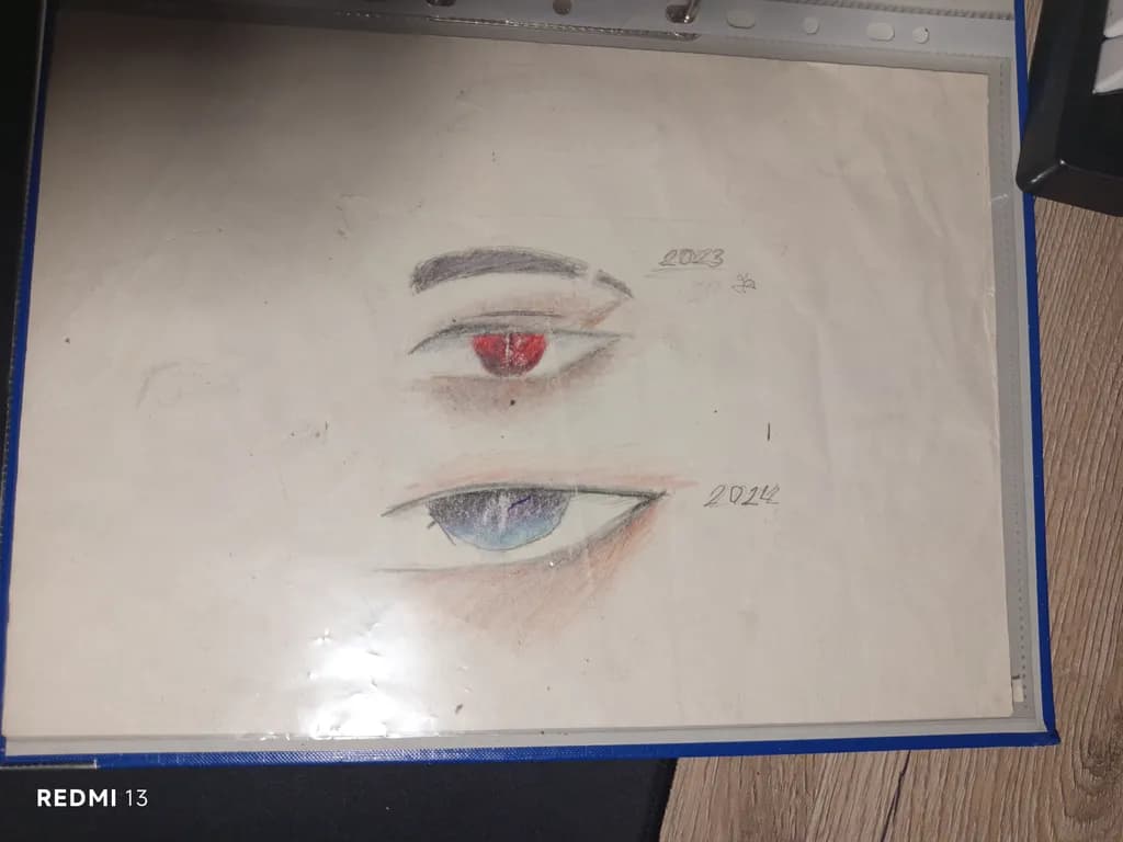 Evolving Perspectives: A Journey Through Time in Eye Art (2013-2014)