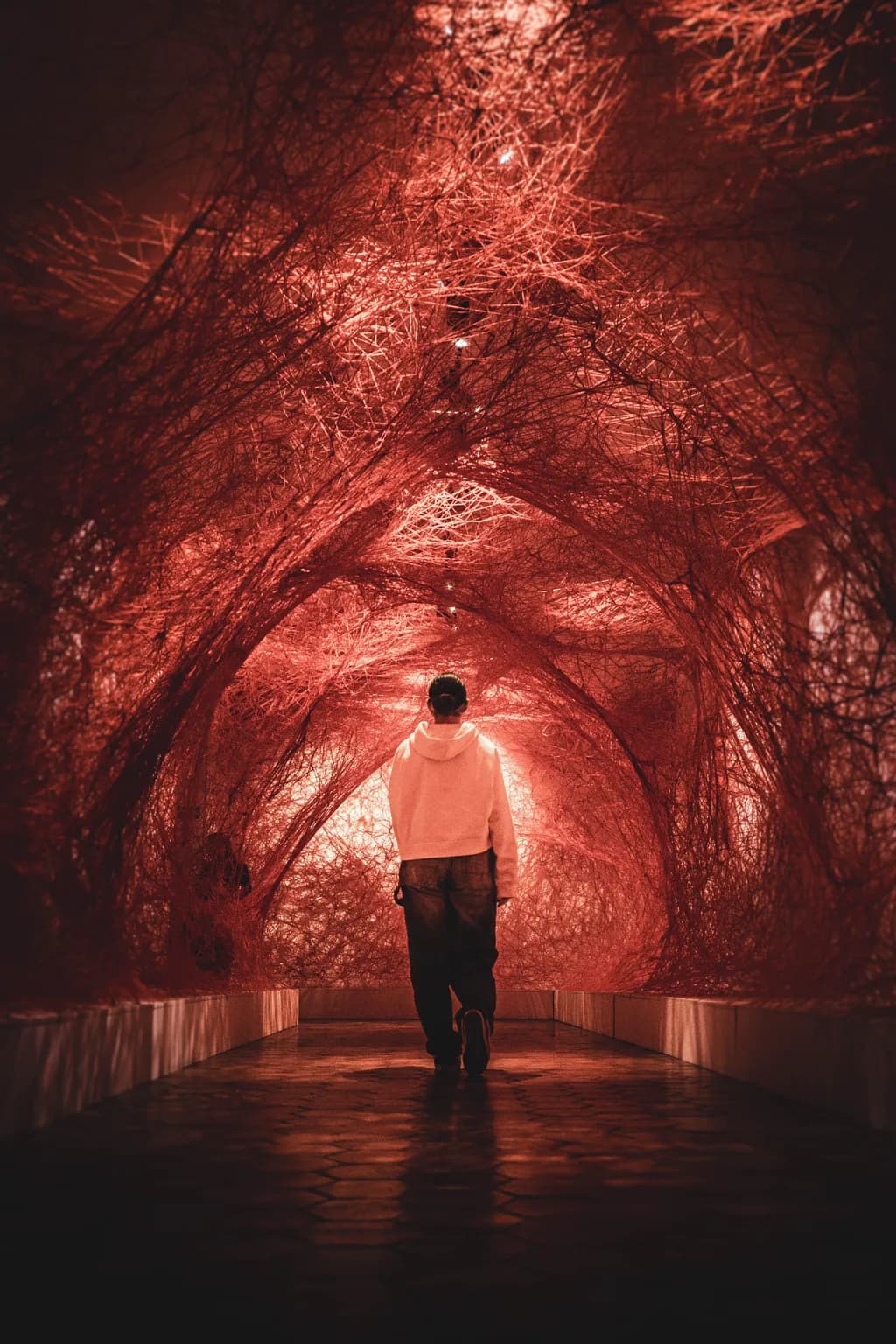 Whispers of Crimson: A Journey Through the Enchanted Tunnel of Light and Shadow