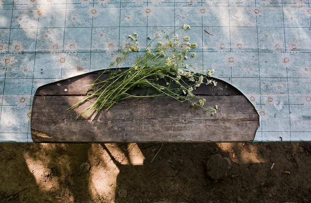 Wildflower Rest