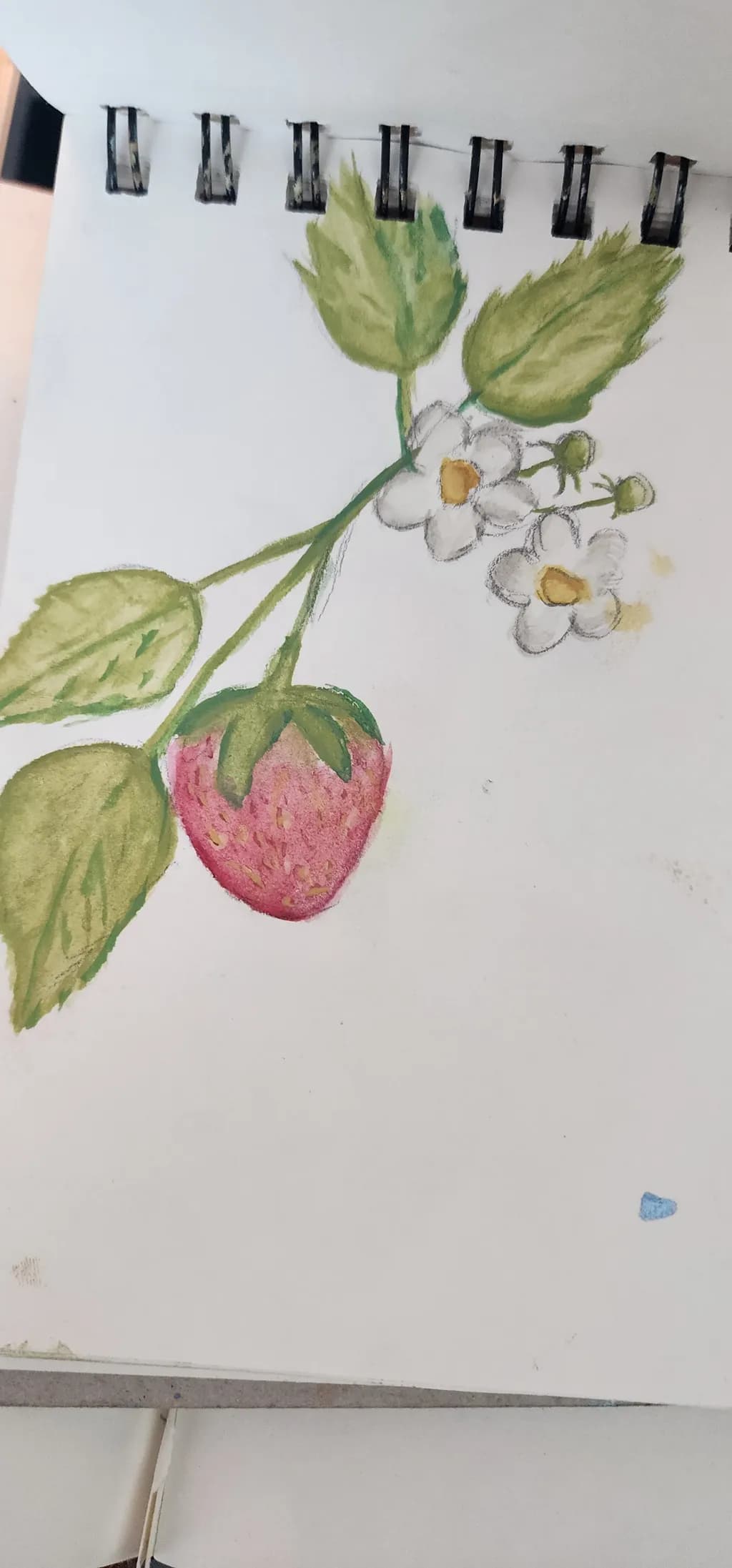 Vibrant Strawberry Blossom: A Colorful Celebration of Nature's Beauty
