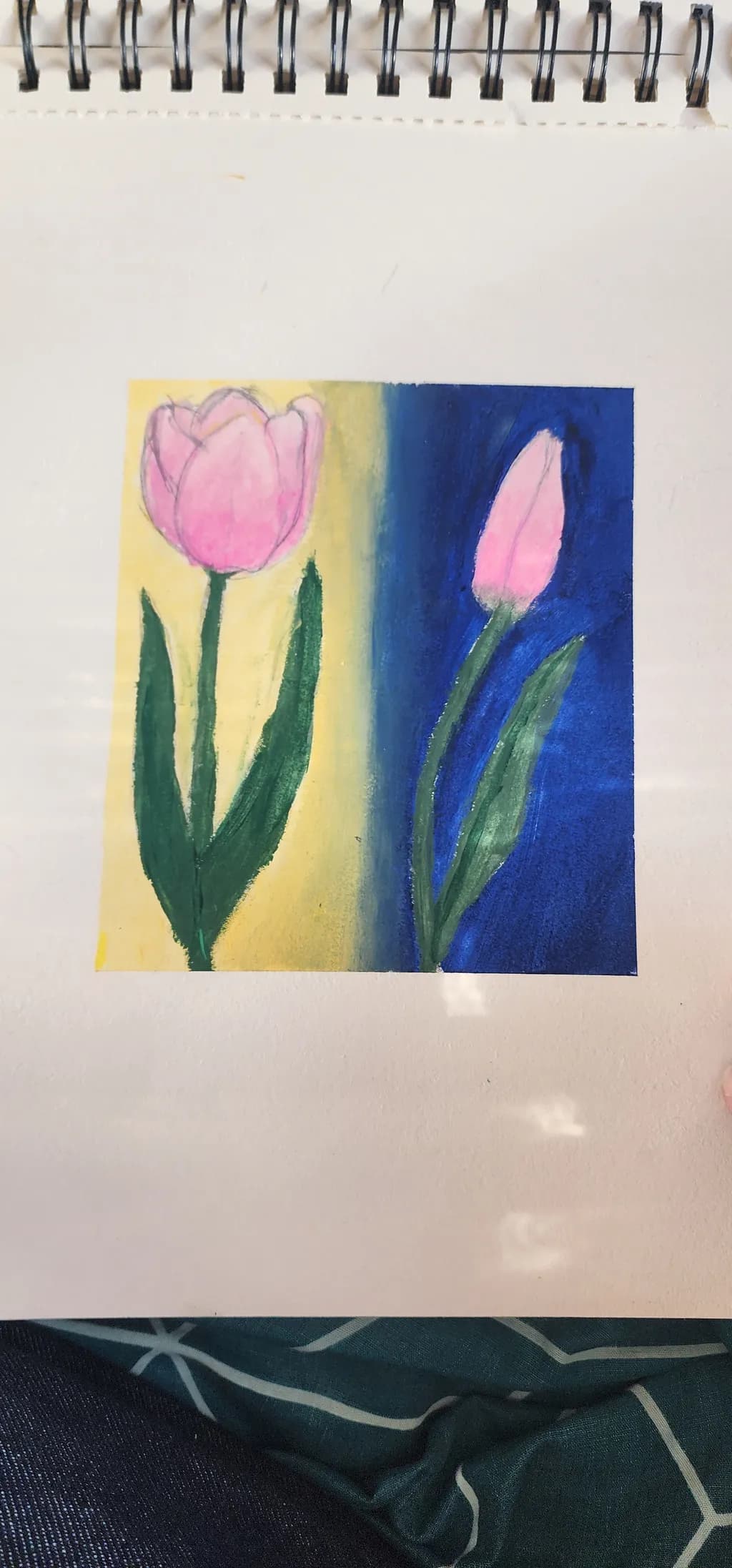 Whispers of Spring: A Dual Tulip Journey in Pastel Hues