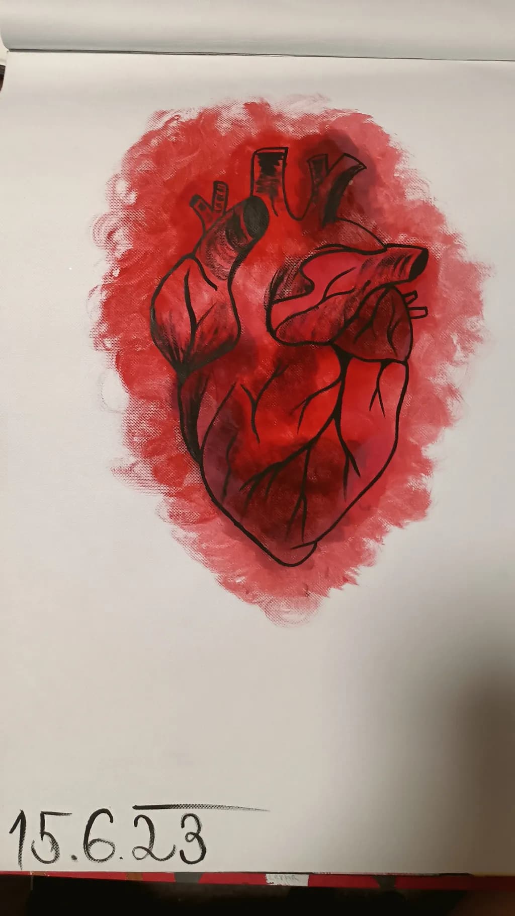 Anatomical Heart Red