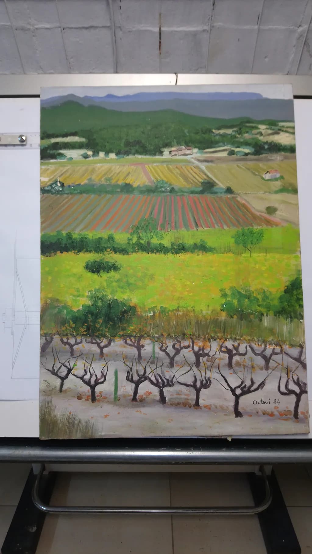Vineyard Serenity: A Lush Landscape of Rolling Hills and Vibrant Fields
