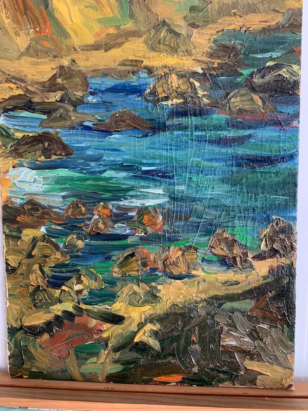 Serene Coastal Reflections: A Vibrant Dance of Color and Texture in Nature's Embrace