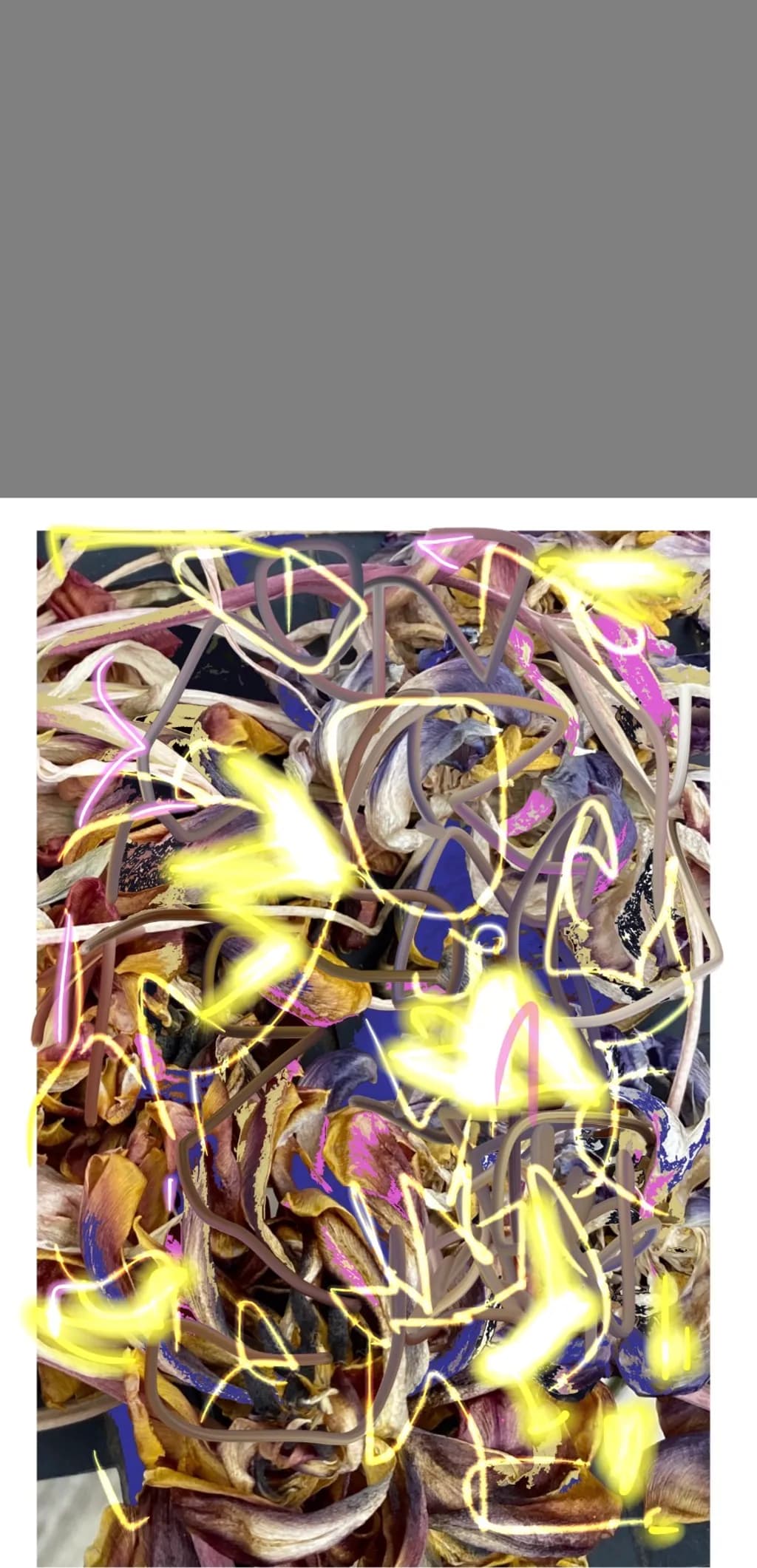 Neon Petals