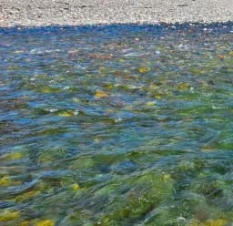 Glacial Mosaic: Flathead River