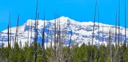 Livingston Range - Parke Peak