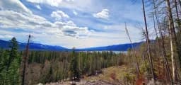 Montana Forest Landscape