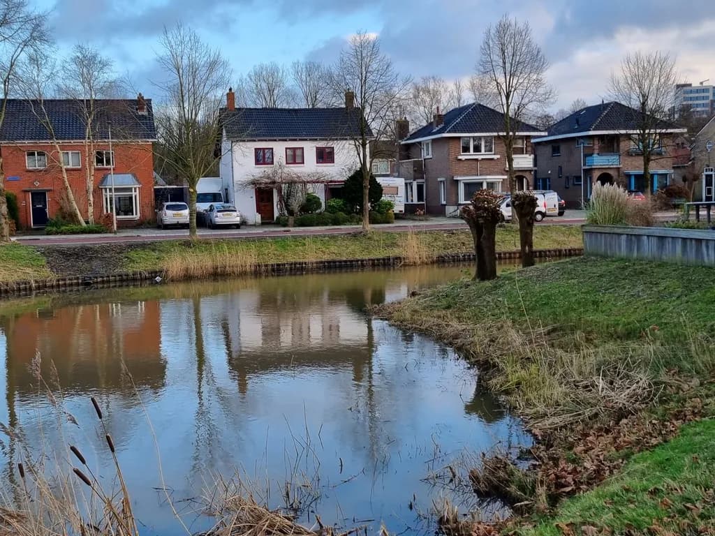 Reflections of Home