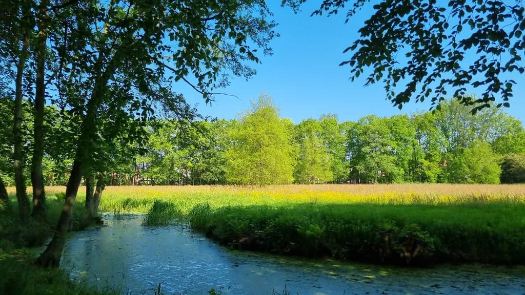 Tranquil Waterscape
