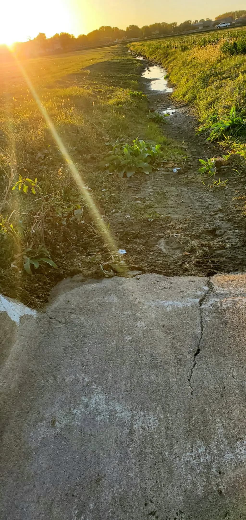 Golden Pathway