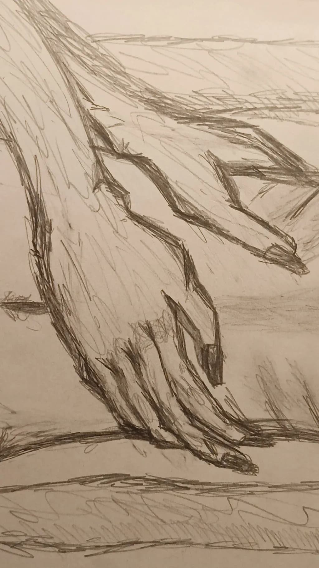 Whispers of Touch: A Study of Hands in Motion