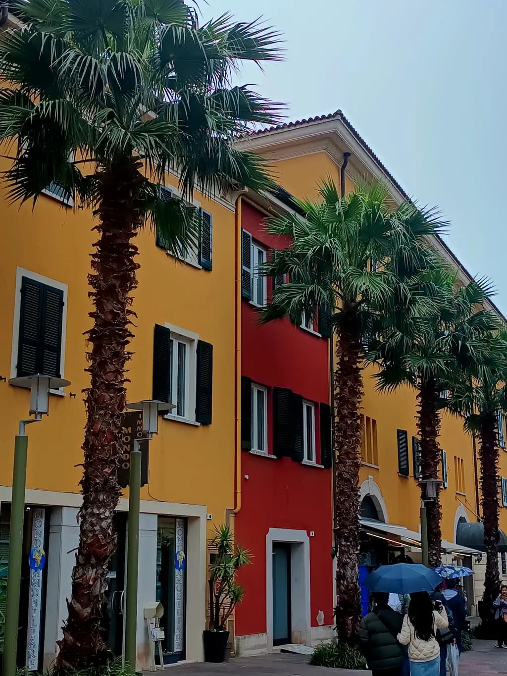 Vibrant Streets: A Colorful Encounter with Palm-Lined Architecture in a Coastal Town