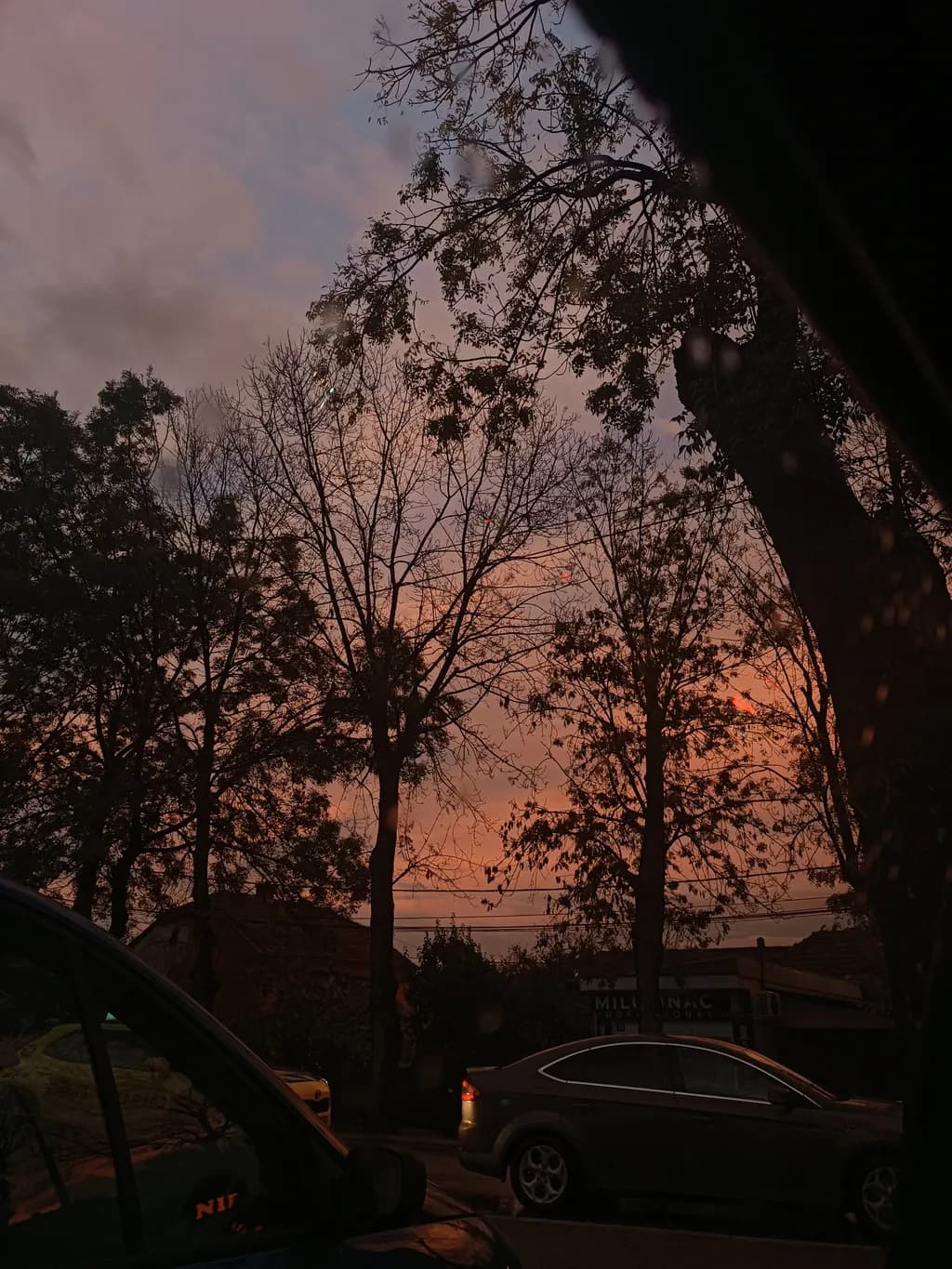 Serene Urban Sunset: A Reflection of Nature Amidst City Life