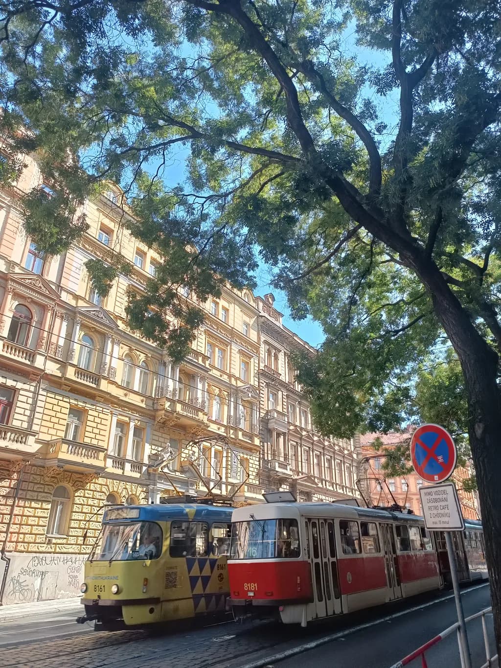 Urban Symphony: Trams and Trees Beneath a Blue Sky