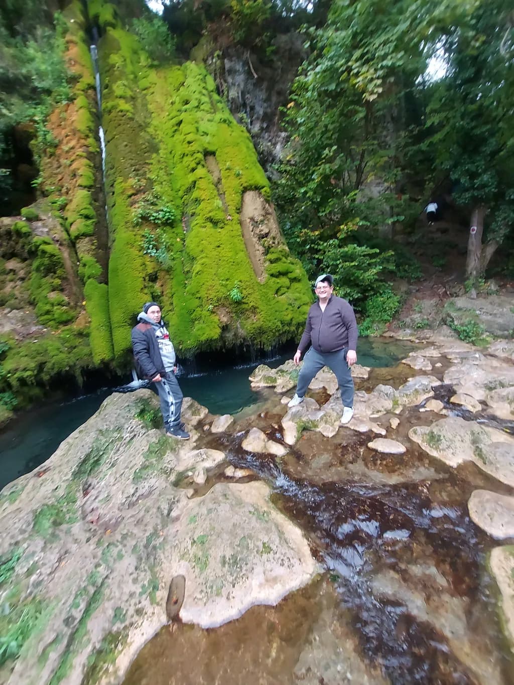 Whispers of Nature: A Serene Encounter by the Moss-Covered Rocks and Gentle Stream
