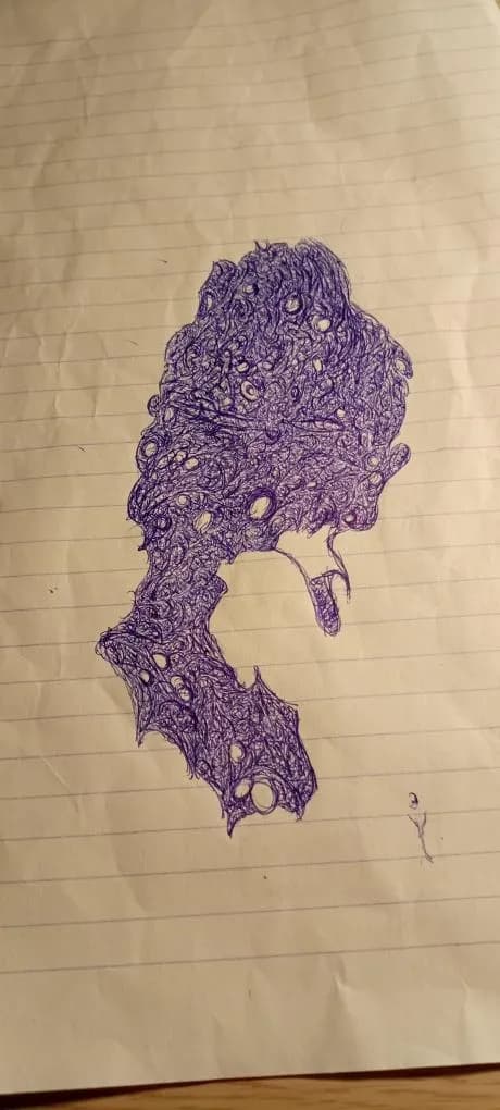Whimsical Ink Portrait: A Dance of Abstract Forms and Creative Expression