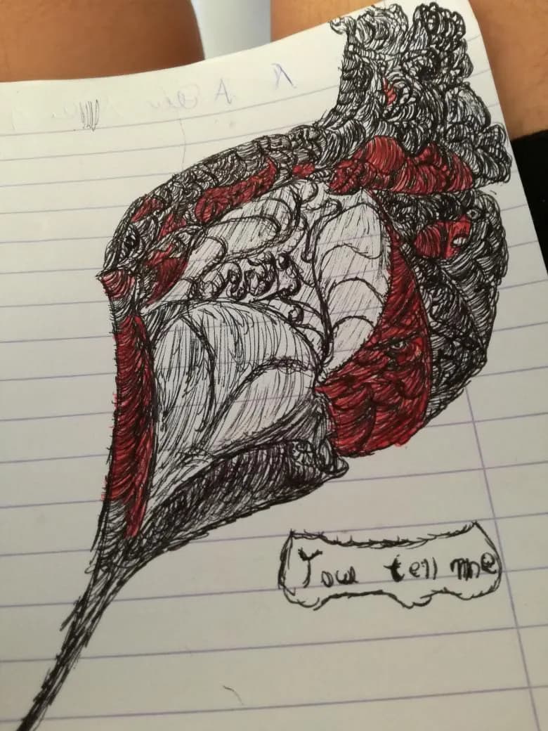 Whispers of Emotion: A Heart's Tale in Ink and Color