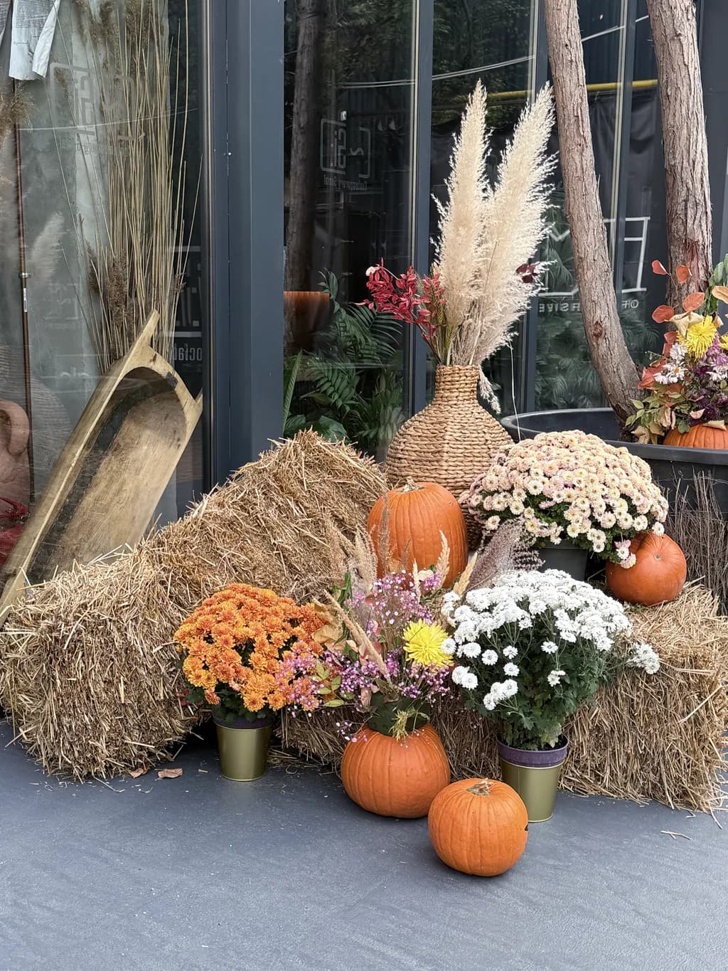 Autumn's Embrace: A Harvest of Colorful Blooms and Pumpkins