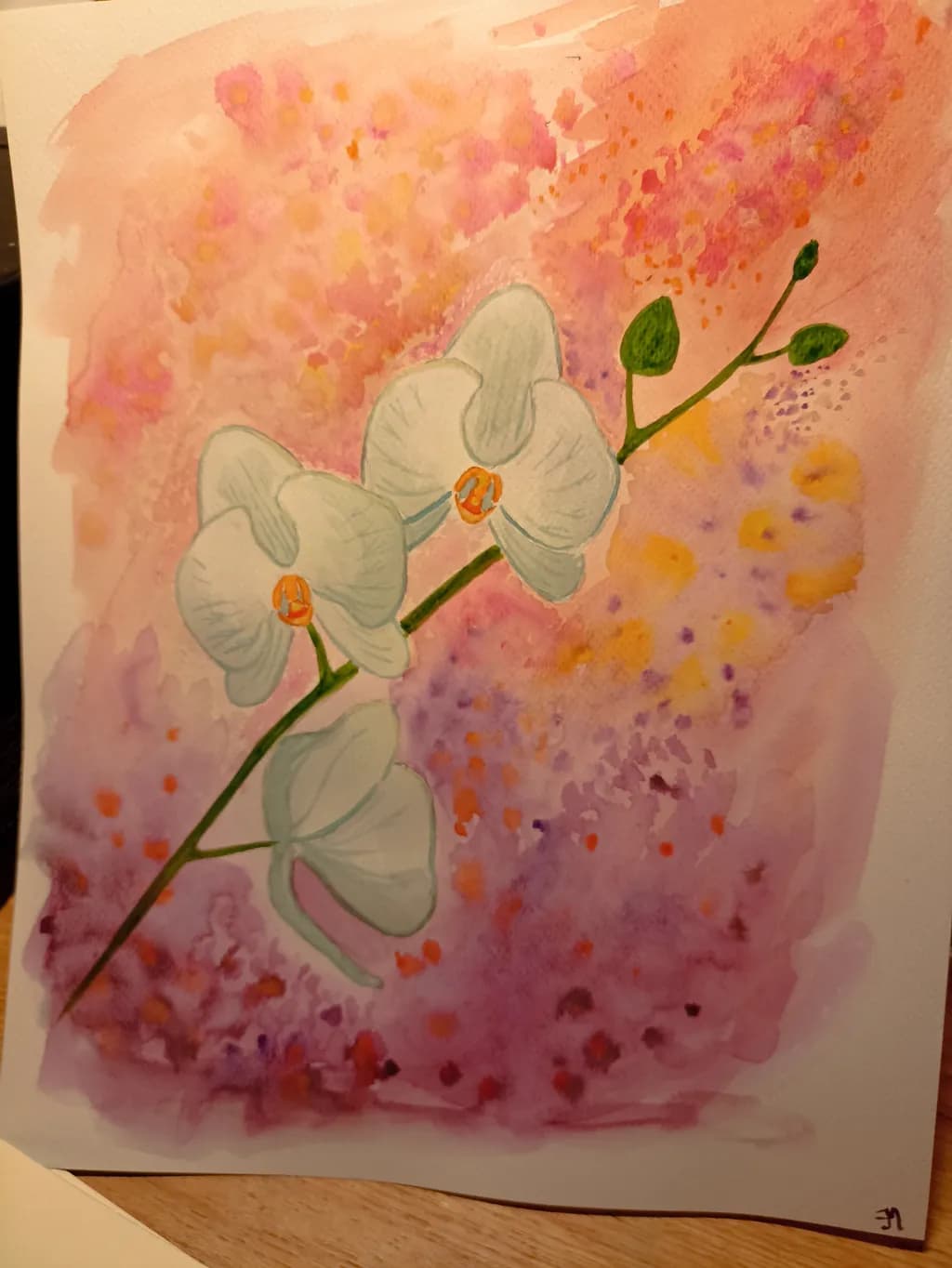 Whispers of Elegance: A Serene Orchid in Bloom Against a Dreamy Pink Canvas