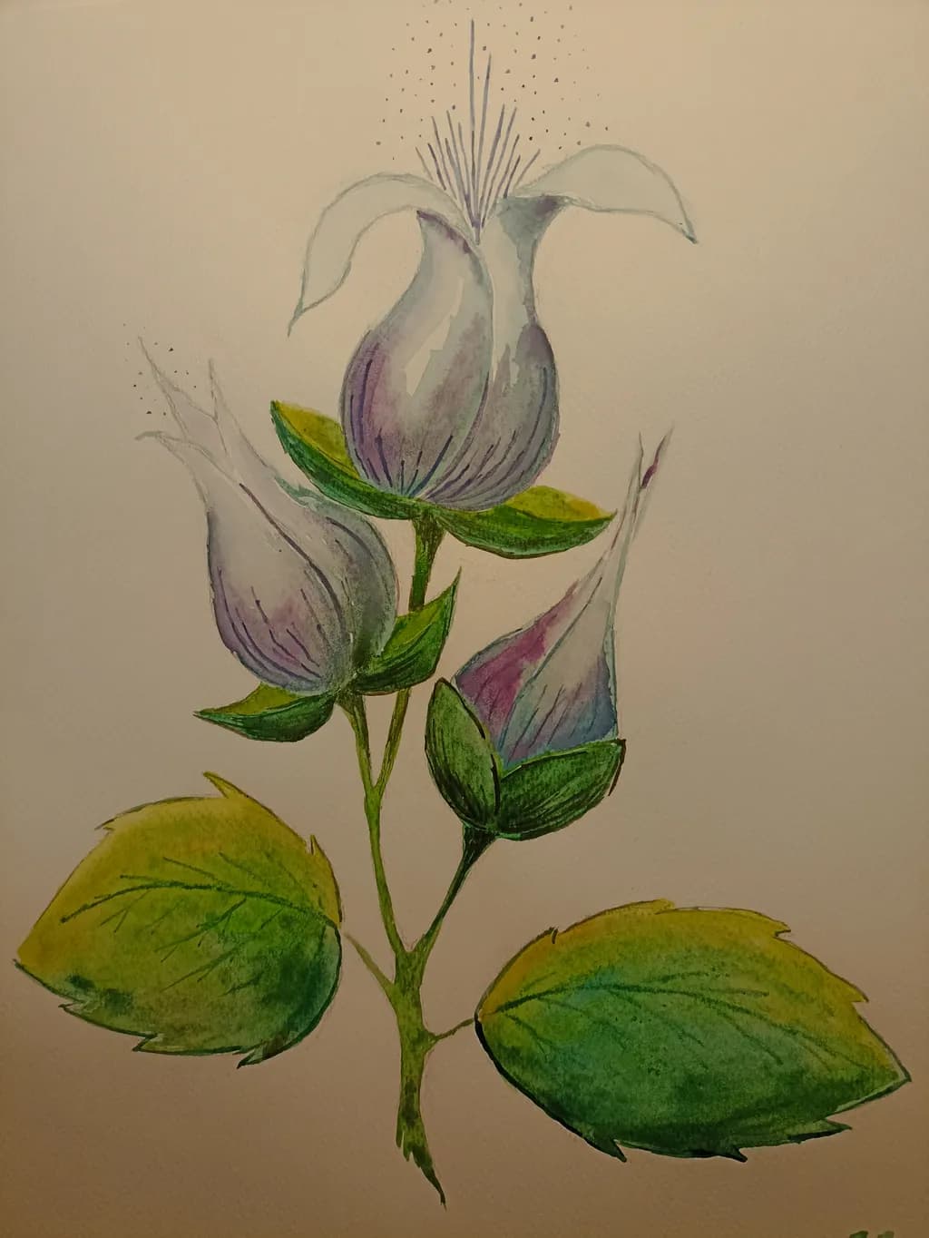 Whispers of Nature: A Delicate Floral Watercolor Study