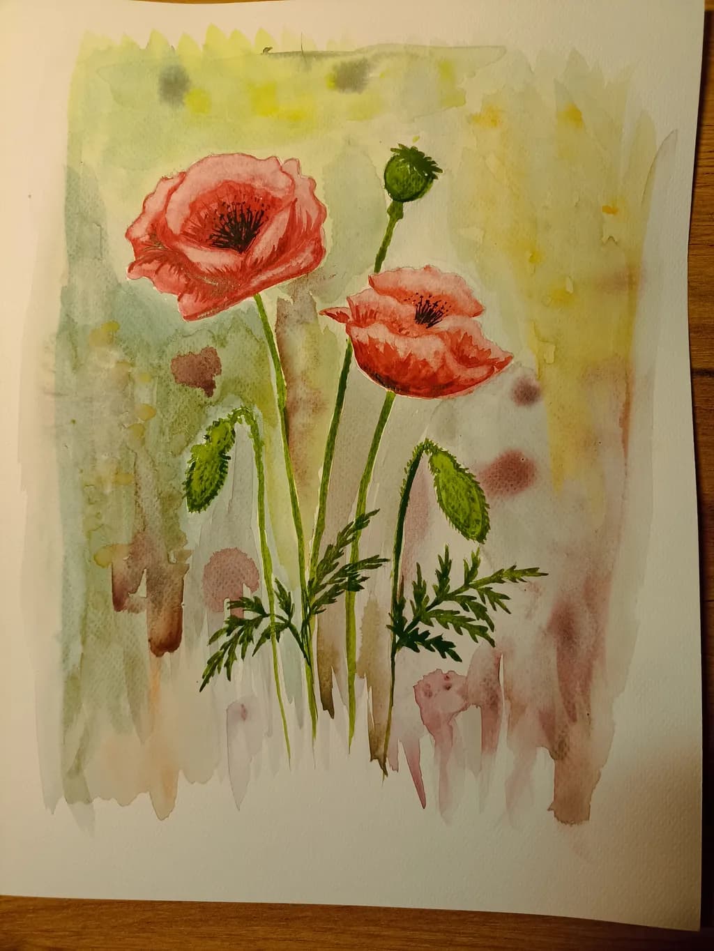 Whispers of Spring: Delicate Poppies in Watercolor Harmony