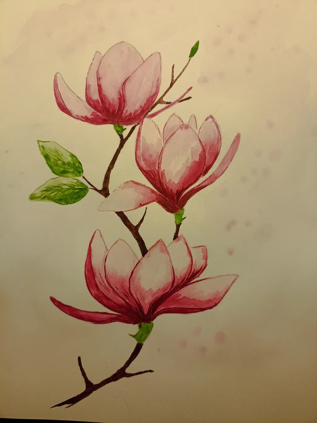 Blossoms of Serenity: A Delicate Watercolor Journey Through Pink Magnolias