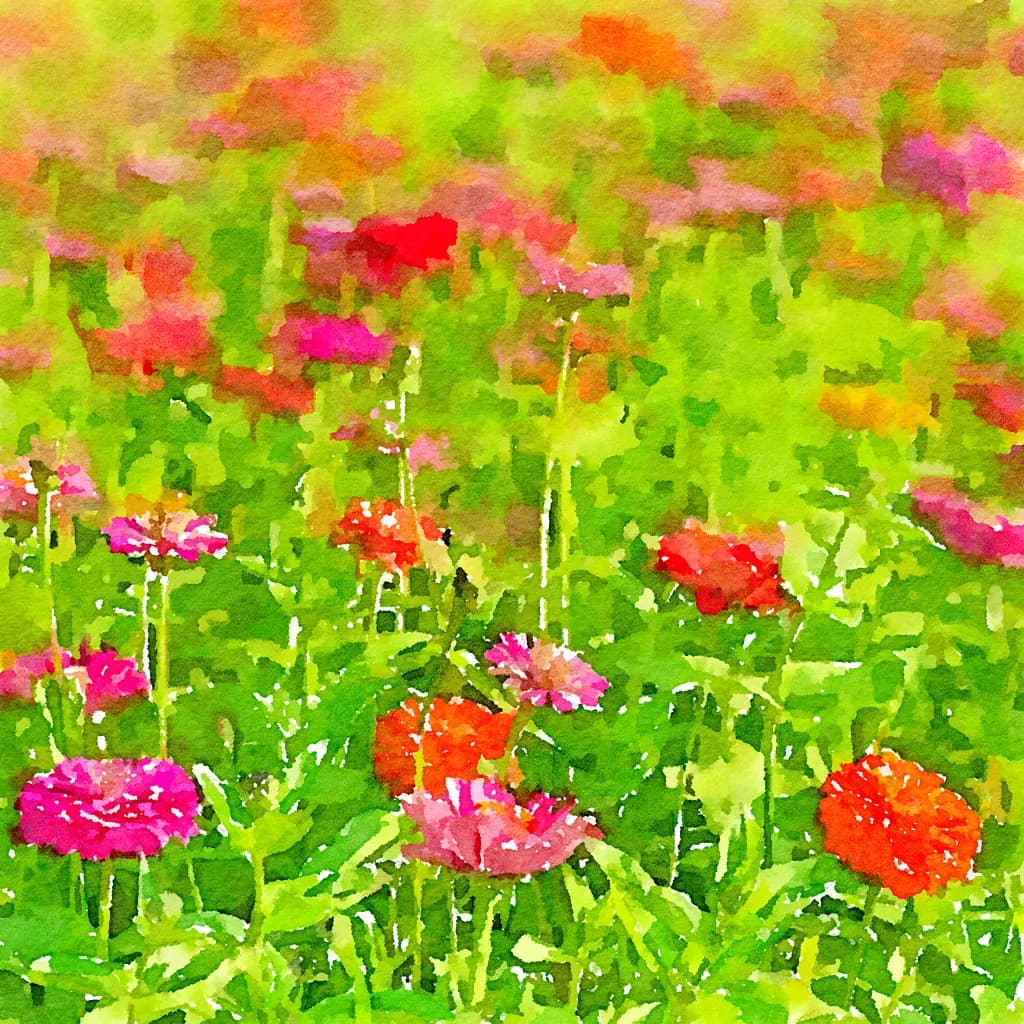 Floral Harmony