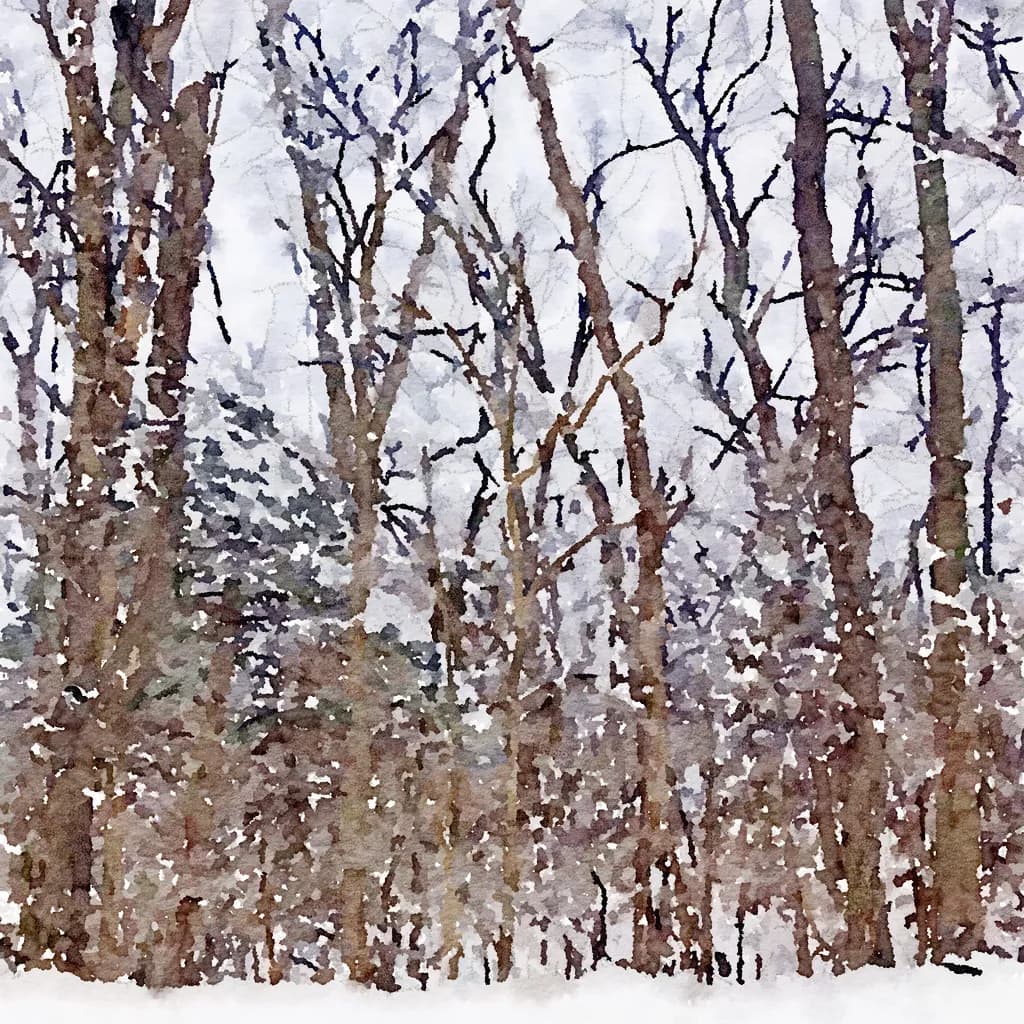 Winter's Embrace