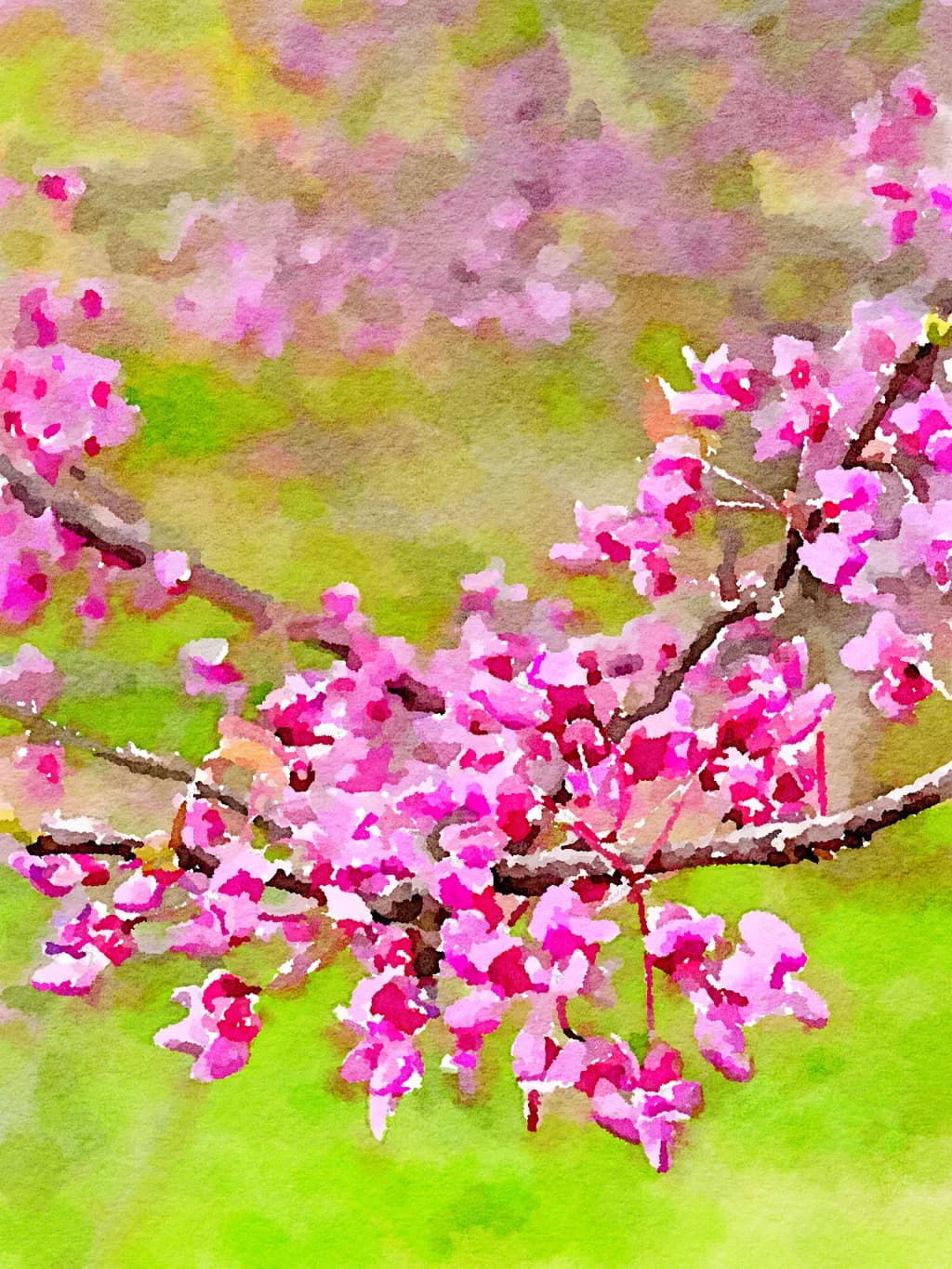Blossom Branches