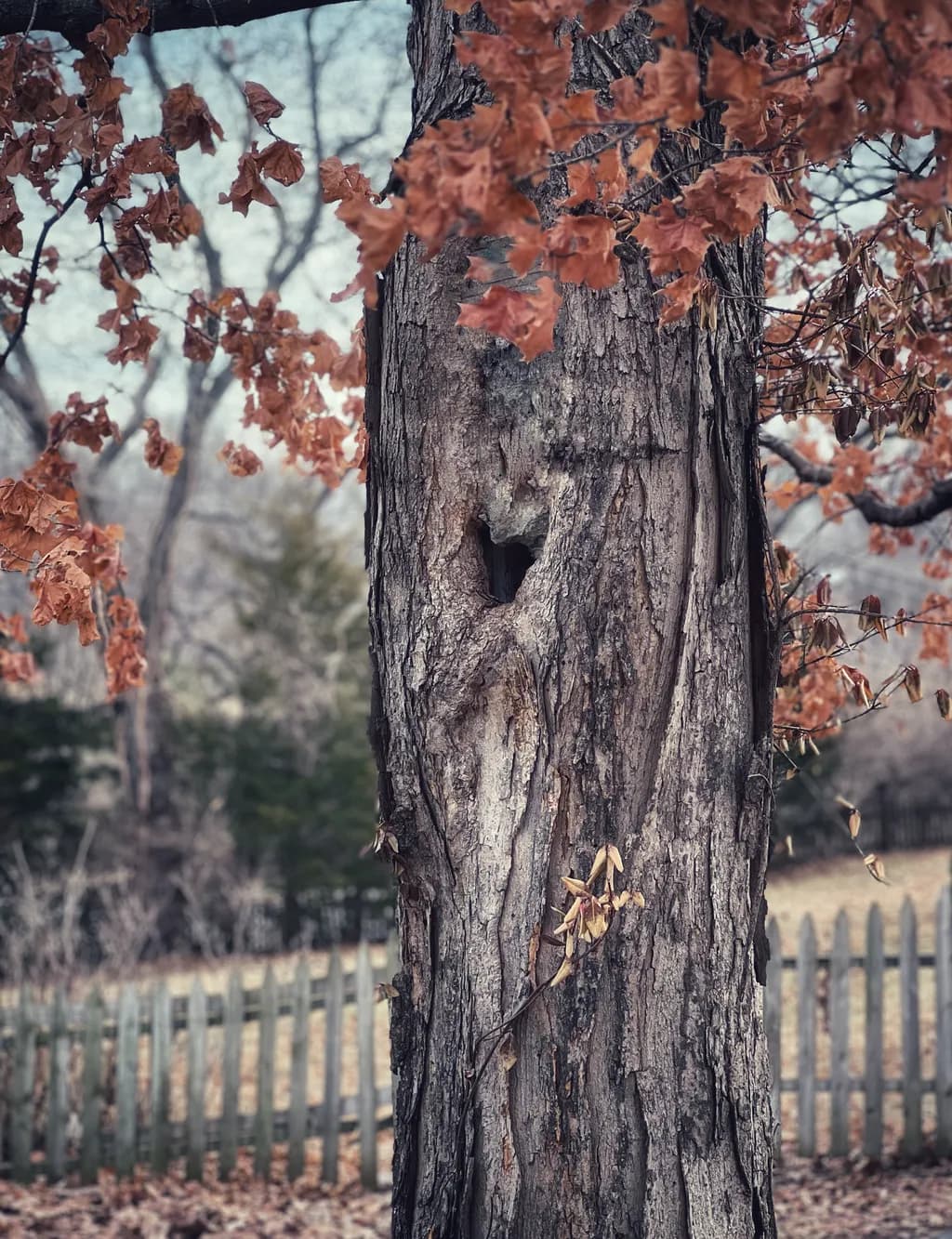 Autumn Embrace