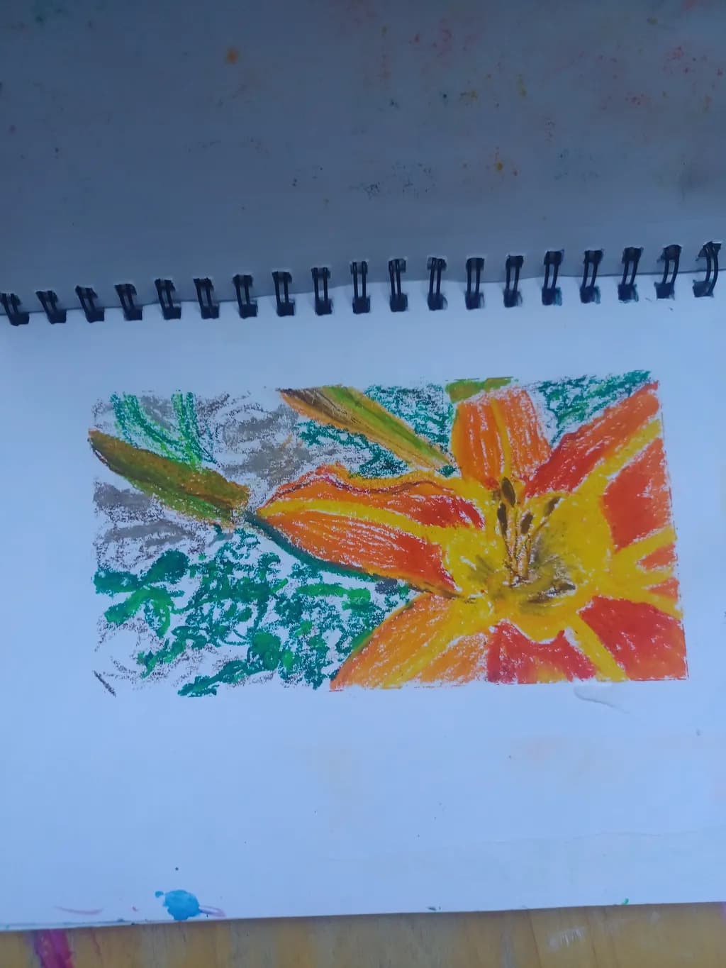 Vibrant Blossoms: A Colorful Sketch of Nature's Beauty
